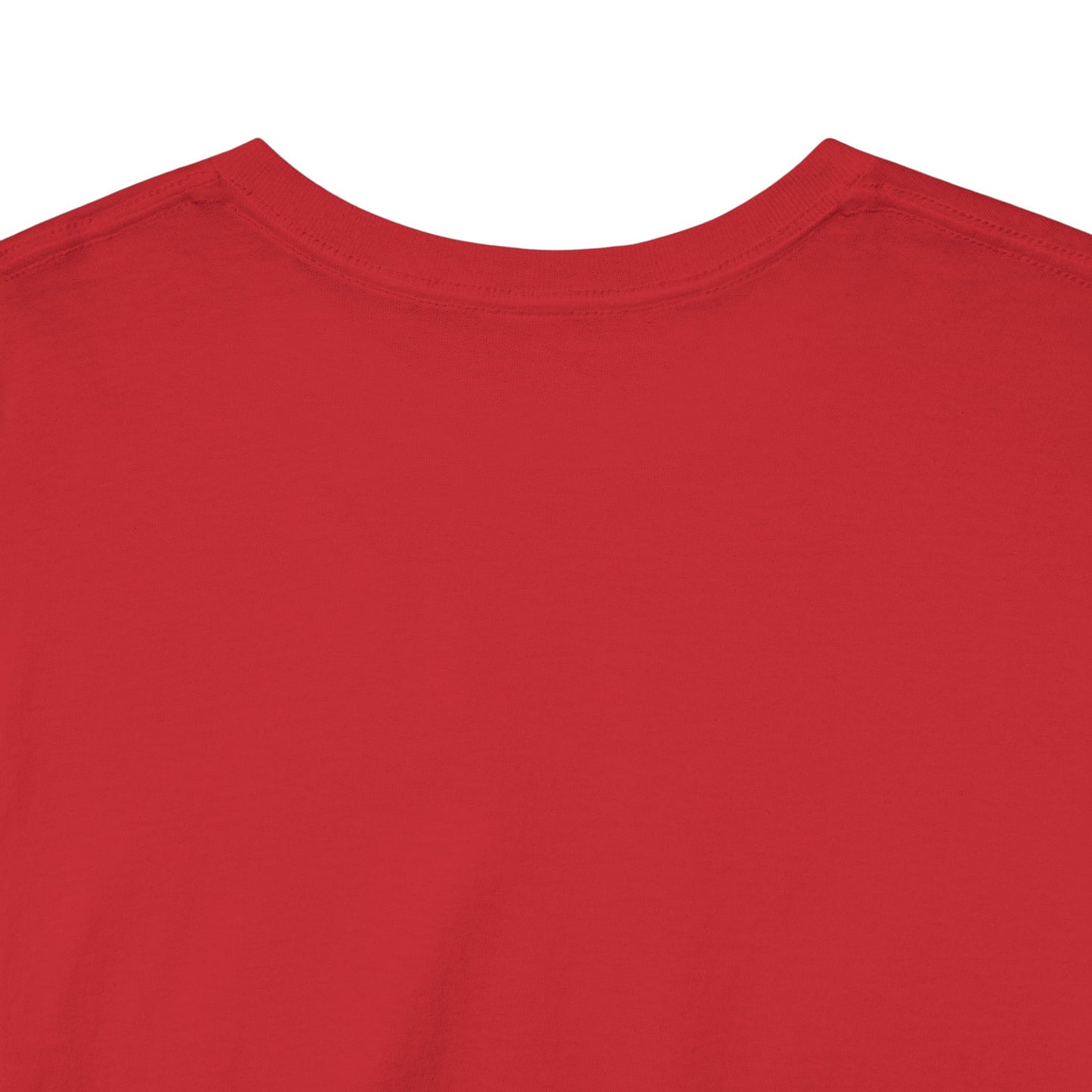 Unisex Heavy Cotton Dragon Slayers Tee