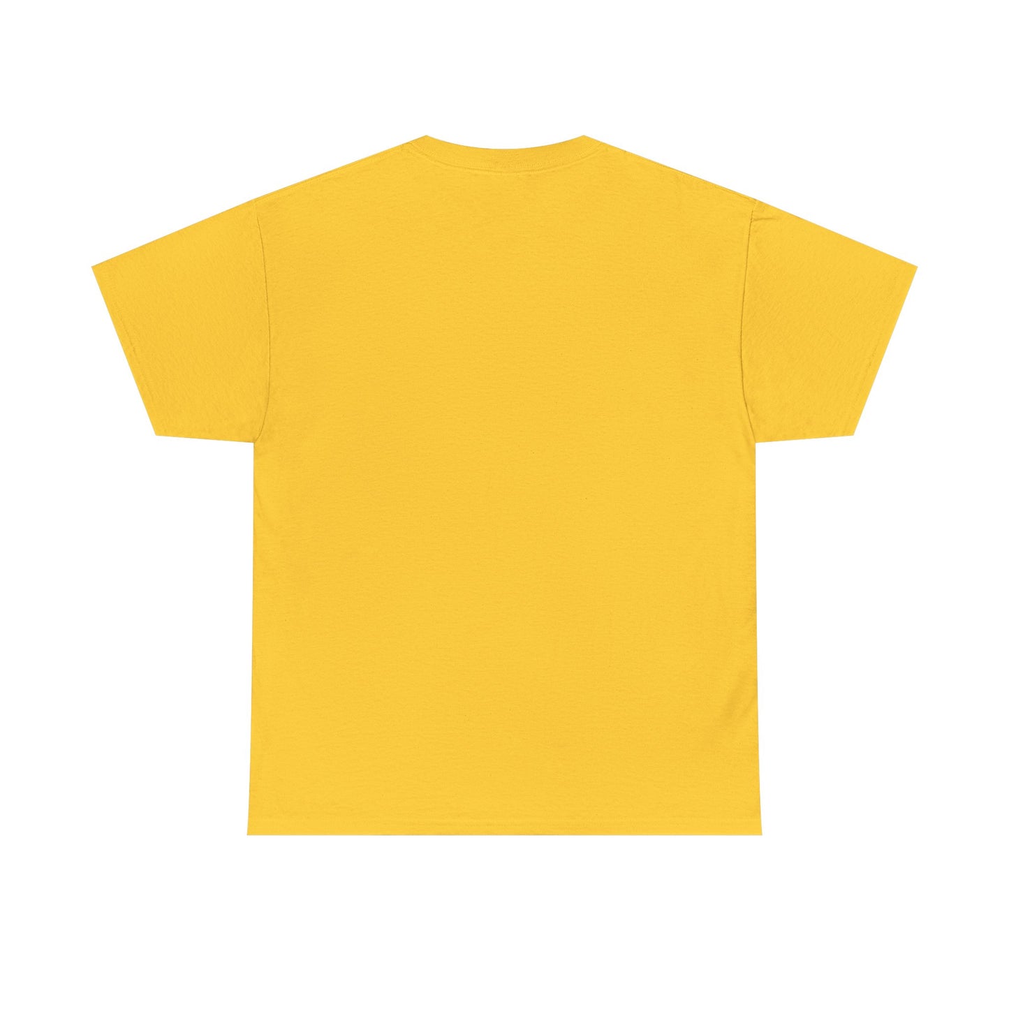 Unisex Heavy Cotton Dragon Slayers Tee