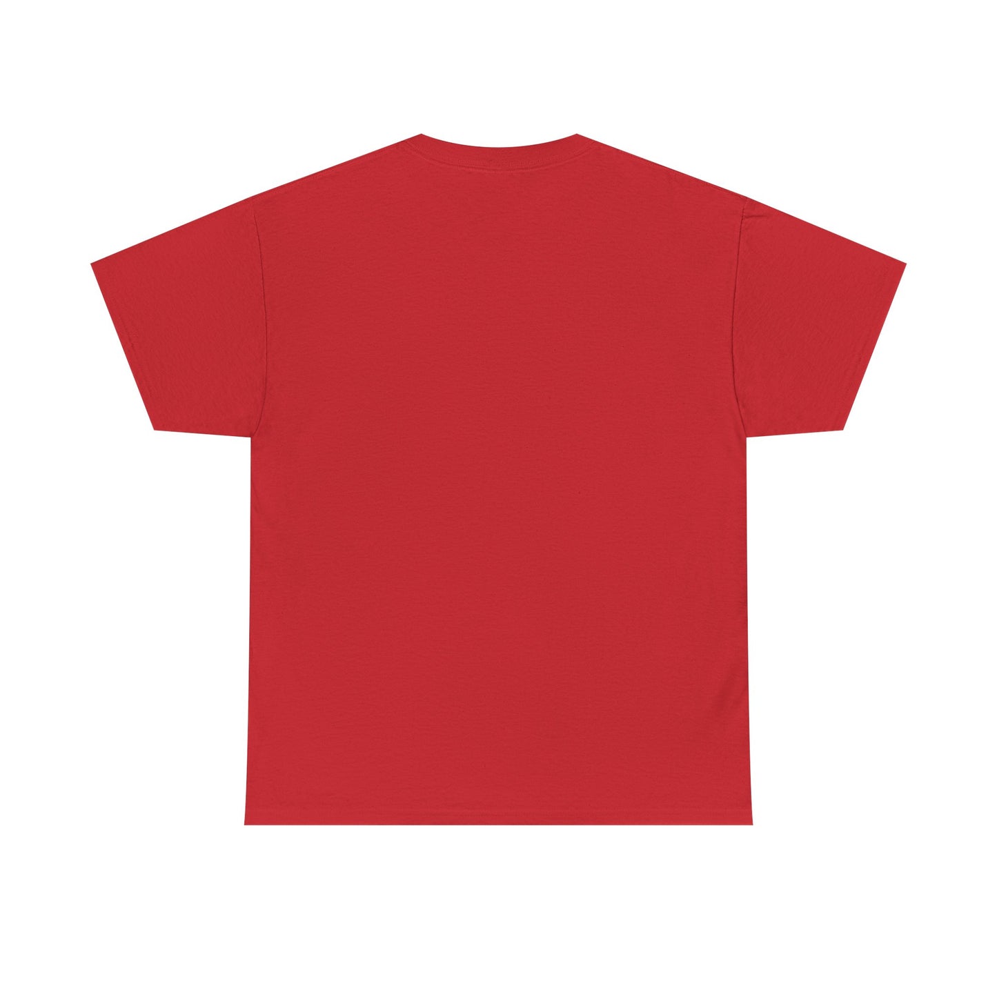 Unisex Heavy Cotton Dragon Slayers Tee