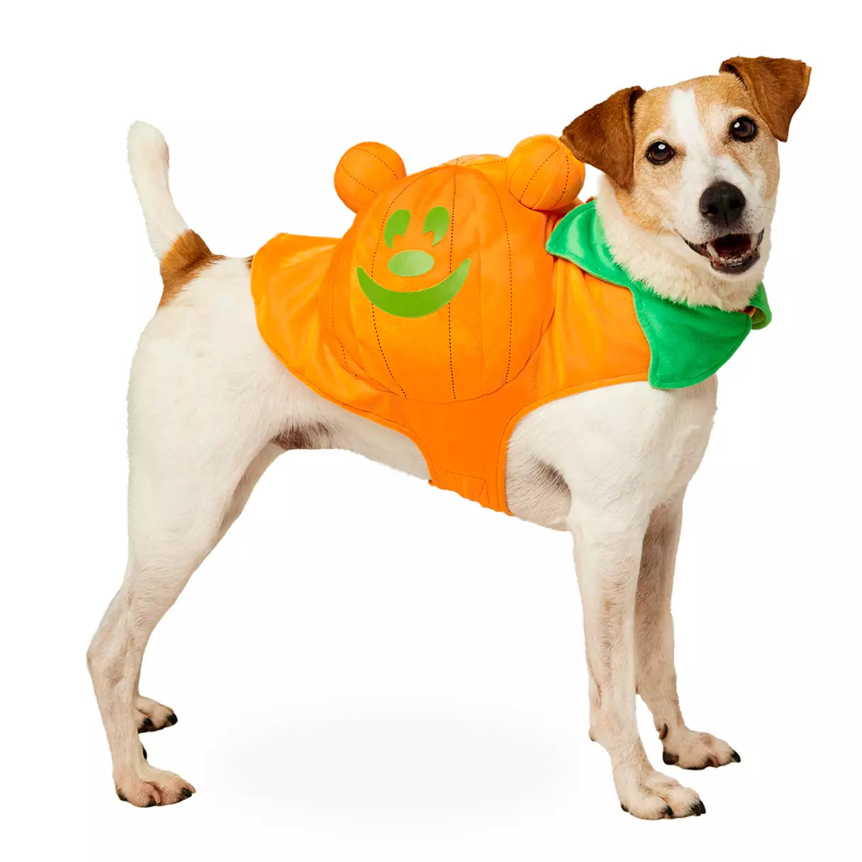 Disney Halloween Glow-in-the-Dark Mickey Pumpkin Costume for Pets