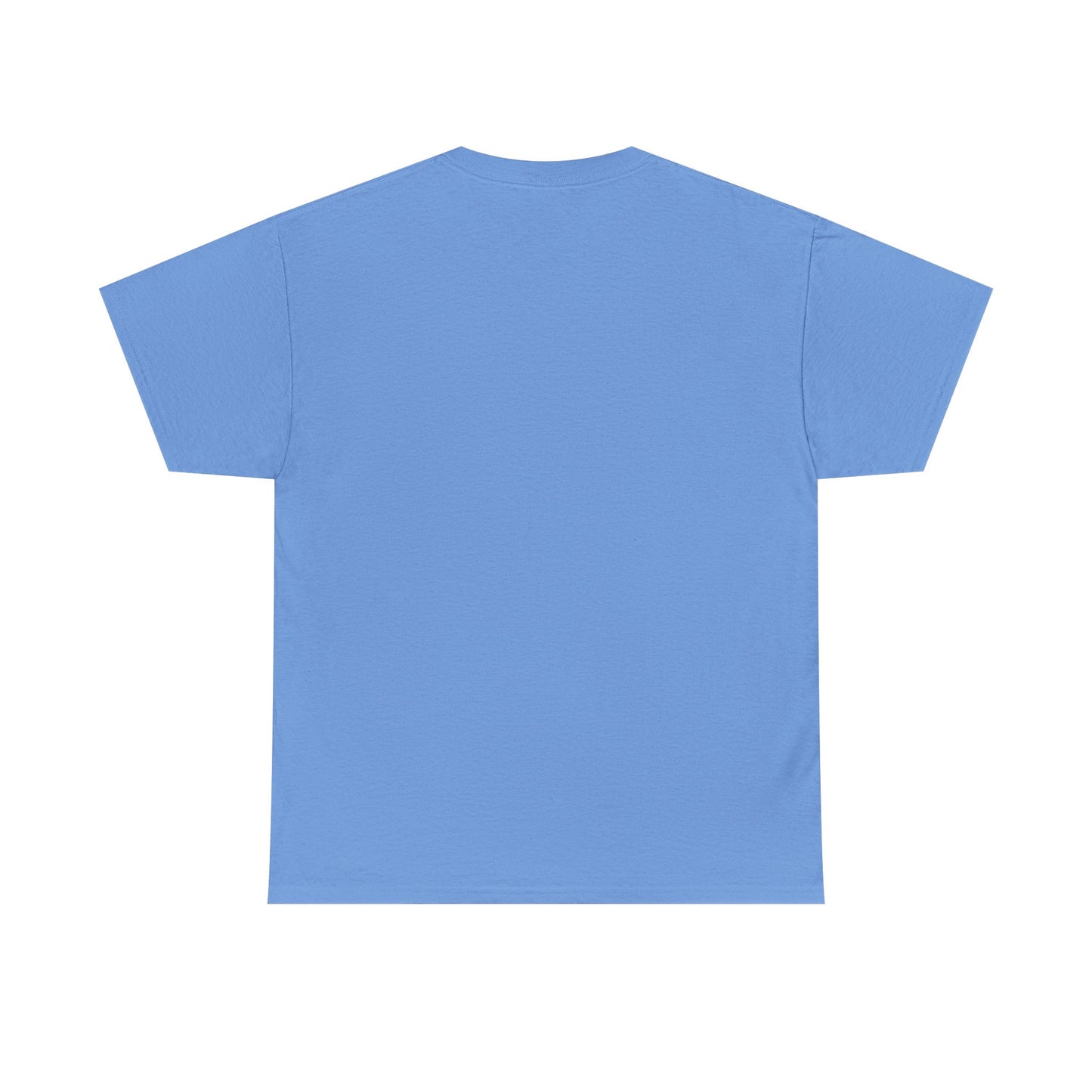 Unisex Heavy Cotton Dragon Slayers Tee
