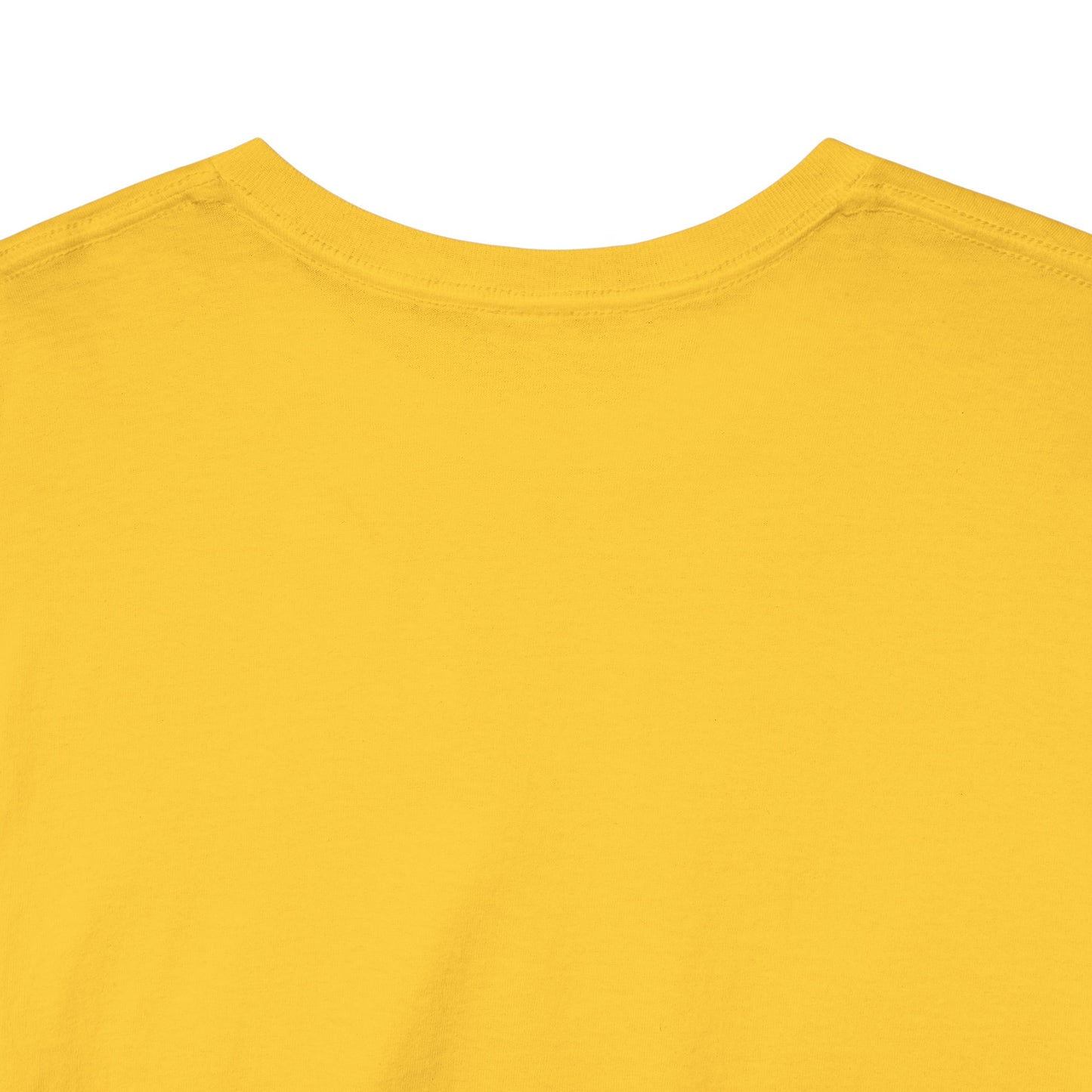 Unisex Heavy Cotton Dragon Slayers Tee
