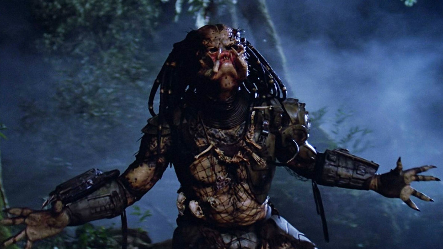 Predator!
